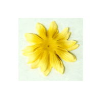 Bazzill Basics - Bazzill Blossoms - 3 inch - Beeswax, CLEARANCE