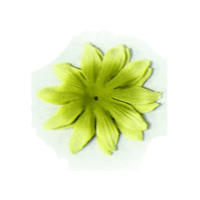 Bazzill Basics - Bazzill Blossoms - 2.5 inch - Lizard