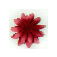 Bazzill Basics - Bazzill Blossoms - 2.5 inch - Kisses