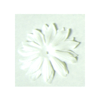 Bazzill Basics - Bazzill Blossoms - 2.5 inch - White