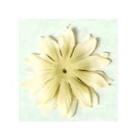 Bazzill Basics - Bazzill Blossoms - 2.5 inch - Vanilla