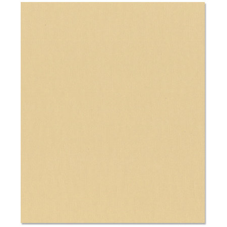 Bazzill Basics - 8.5 x 11 Cardstock - Grasscloth Texture - Quick Sand