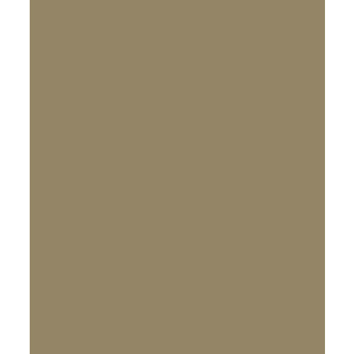 Bazzill Basics - Card Shoppe - 8.5 x 11 Cardstock - Premium Smooth Texture - Peanut Cluster