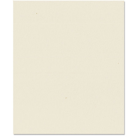 Bazzill - 8.5 x 11 Cardstock - Orange Peel Texture - Wheat
