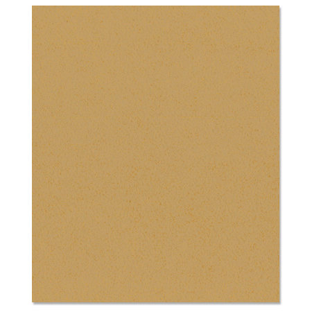 Bazzill Basics - 8.5 x 11 Cardstock - Orange Peel Texture - Tanner