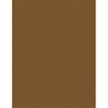Bazzill Basics - 8.5 x 11 Cardstock - Canvas Texture - Hershey