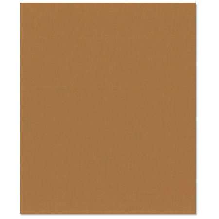 Bazzill Basics - 8.5 x 11 Cardstock - Grasscloth Texture - Cinnamon Stick
