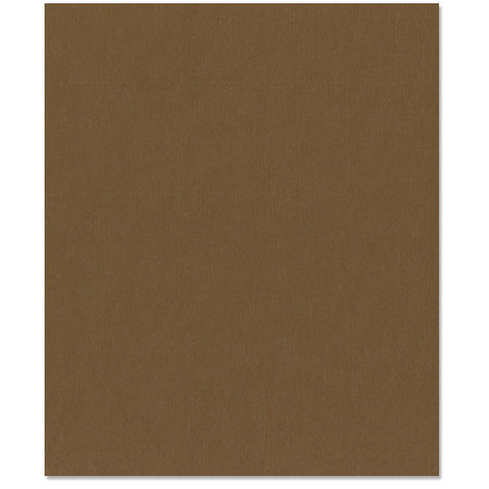 Bazzill Basics - 8.5 x 11 Cardstock - Canvas Texture - Bark