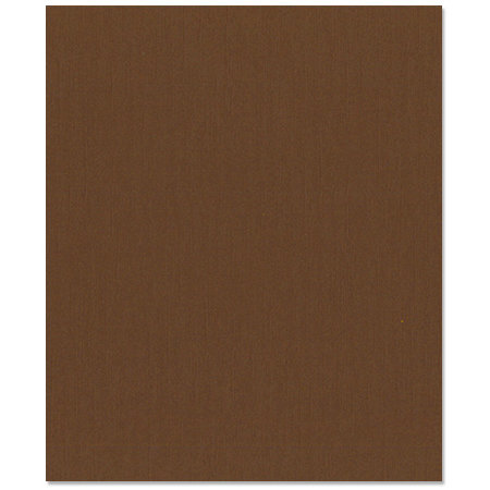 Bazzill Basics - 8.5 x 11 Cardstock - Canvas Texture - Pinecone