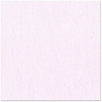 Bazzill Basics - 12 x 12 Cardstock - Grasscloth Texture - Tutu Pink
