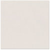 Bazzill Basics - 12 x 12 Cardstock - Canvas Texture - New York City, CLEARANCE