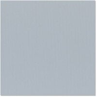 Bazzill Basics - 12 x 12 Cardstock - Canvas Texture - Mono - Smoky