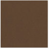 Bazzill - 12 x 12 Metallic Cardstock - Charlie