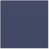 Bazzill - 12 x 12 Cardstock - Classic Texture - Indigo