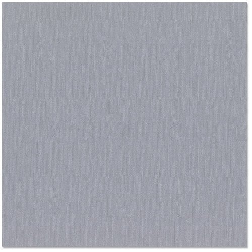 Bazzill Basics - 12 x 12 Cardstock - Canvas Texture - Bling - Tiara