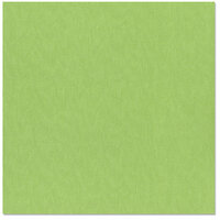 Bazzill Basics - 12 x 12 Cardstock - Canvas Bling Texture - Envy