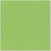 Bazzill Basics - 12 x 12 Cardstock - Canvas Texture - Bling - Bank Roll