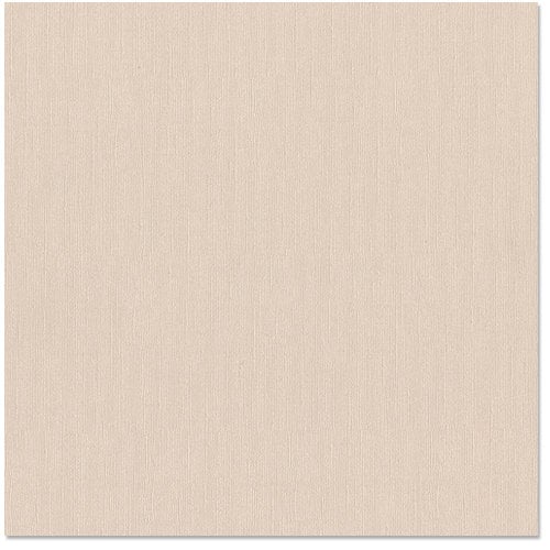 Bazzill Basics - 12 x 12 Cardstock - Canvas Texture - Bling - Blank Check