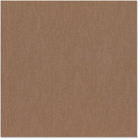 Bazzill - 12 x 12 Cardstock - Canvas Bling Texture - Flat Broke