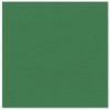 Bazzill Basics - 12 x 12 Cardstock - Canvas Texture - Prismatics - Classic Green