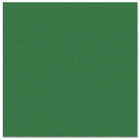 Bazzill Basics - 12 x 12 Cardstock - Canvas Texture - Prismatics - Classic Green