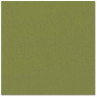 Bazzill - Prismatics - 12 x 12 Cardstock - Dimpled Texture - Herbal Garden Medium