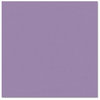 Bazzill - Prismatics - 12 x 12 Cardstock - Dimpled Texture - Majestic Purple Medium