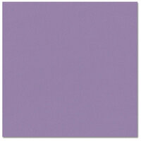 Bazzill - Prismatics - 12 x 12 Cardstock - Dimpled Texture - Majestic Purple Medium