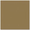 Bazzill - Prismatics - 12 x 12 Cardstock - Dimpled Texture - Suede Brown Medium