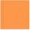 Bazzill - 12 x 12 Cardstock - Orange Peel Texture - Hazard