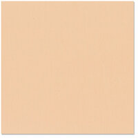 Bazzill Basics - 12 x 12 Cardstock - Canvas Texture - Peachpuff
