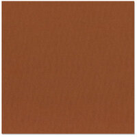 Bazzill Basics - 12 x 12 Cardstock - Canvas Texture - Sienna