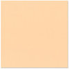 Bazzill Basics - 12 x 12 Cardstock - Canvas Texture - Peach, CLEARANCE