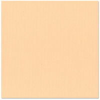 Bazzill Basics - 12 x 12 Cardstock - Canvas Texture - Peach, CLEARANCE