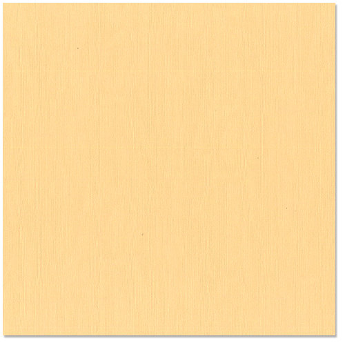 Bazzill Basics - 12 x 12 Cardstock - Canvas Texture - Sherbet, CLEARANCE