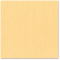 Bazzill Basics - 12 x 12 Cardstock - Canvas Texture - Sherbet, CLEARANCE