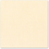 Bazzill Basics - 12 x 12 Cardstock - Canvas Texture - Savannah