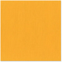 Bazzill - 12 x 12 Cardstock - Canvas Texture - Cheddar
