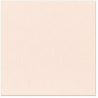Bazzill Basics - 12 x 12 Cardstock - Canvas Texture - Adobe