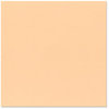 Bazzill - 12 x 12 Cardstock - Grasscloth Texture - Peach Glow