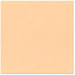 Bazzill - 12 x 12 Cardstock - Grasscloth Texture - Peach Glow