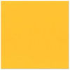 Bazzill Basics - 12 x 12 Cardstock - Grasscloth Texture - Desert Marigold