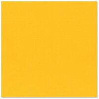 Bazzill Basics - 12 x 12 Cardstock - Grasscloth Texture - Desert Marigold