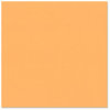 Bazzill Basics - 12 x 12 Cardstock - Smooth Texture - Marmalade Blast