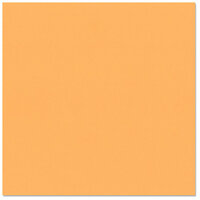 Bazzill Basics - 12 x 12 Cardstock - Smooth Texture - Marmalade Blast