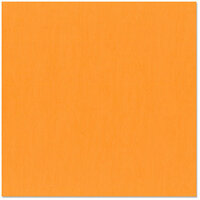 Bazzill Basics - 12 x 12 Cardstock - Grasscloth Texture - Tangelo, CLEARANCE