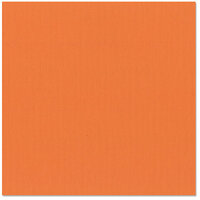 Bazzill - 12 x 12 Cardstock - Canvas Texture - Hopi