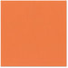Bazzill - 12 x 12 Cardstock - Canvas Texture - Hopi