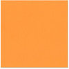 Bazzill Basics - 12 x 12 Cardstock - Canvas Texture - Rio De Janeiro