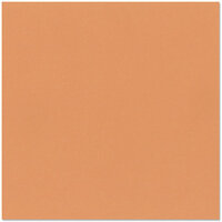Bazzill Basics - 12 x 12 Cardstock - Canvas Texture - Cantaloupe